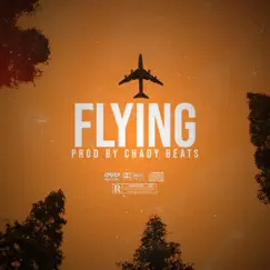 Flying Song Lyrics