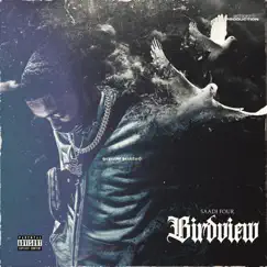 Birdview - Single by Saadifour album reviews, ratings, credits