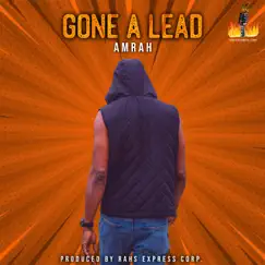 Gone a Lead - Single by Amrah album reviews, ratings, credits