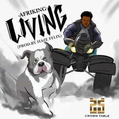Living - Single by AfriKing album reviews, ratings, credits