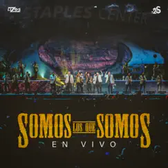 Somos Los Que Somos (feat. Banda Sinaloense MS de Sergio Lizárraga) [En Vivo] Song Lyrics