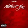 Without You - Single album lyrics, reviews, download