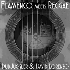 Flamenco Meets Reggae - EP by Dubjuggler & David Lorenzo album reviews, ratings, credits