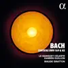 Bach: Cantatas BWV 169 & 82 album lyrics, reviews, download
