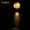 Endless - Single album lyrics, reviews, download