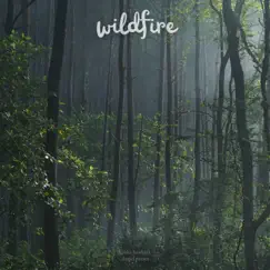 Wildfire - Acoustic Song Lyrics