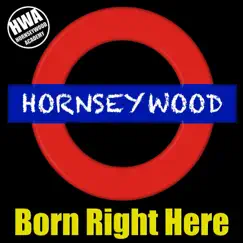 Born Right Here - Single by Hornseywood album reviews, ratings, credits