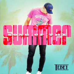 Song of the Summer (Poolside Mix) Song Lyrics