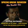Spring Break Reunion: The Rockin' Era - Live - Single album lyrics, reviews, download