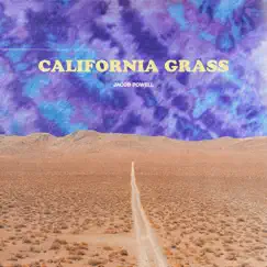 California Grass Song Lyrics