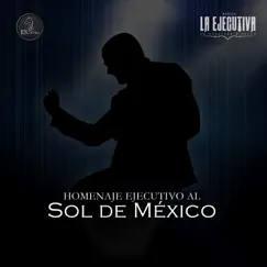 Homenaje Ejecutivo al Sol de México - EP by Banda La Ejecutiva de Mazatlán Sinaloa album reviews, ratings, credits