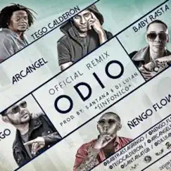 Odio (feat. Ñengo Flow, Tego Calderón & Arcángel) - Single by Baby Rasta y Gringo album reviews, ratings, credits