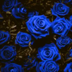 Blue Roses (feat. Bre.Ish) Song Lyrics