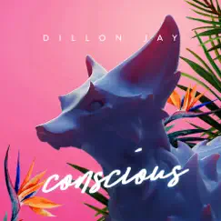 Conscious - Single by Dillon Jay album reviews, ratings, credits