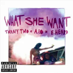 What She Want (feat. A.I.O & E. Heard) - Single by Twany Two album reviews, ratings, credits