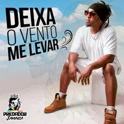 Deixa o Vento Me Levar Song Lyrics