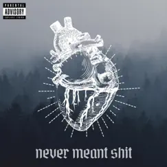 Never Meant Shit - Single by Mitch the Hero album reviews, ratings, credits
