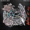 Want It All (feat. Polo G) song lyrics