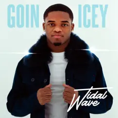 Tidal Wave - Single by Goin Icey album reviews, ratings, credits