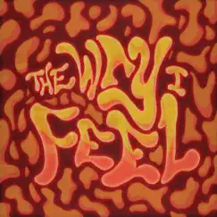 The Way I Feel - Single by Kalisway album reviews, ratings, credits