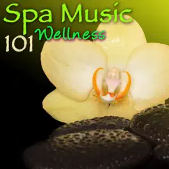 Spa Music 101 Wellness: Amazing Relaxing Sounds for Spas by Spa, Meditation Relax Club & Pure Massage Music album reviews, ratings, credits