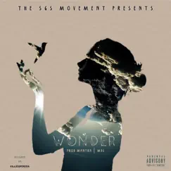 Wonder - Single by SGS the Movement album reviews, ratings, credits