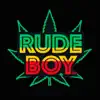 Rude Boy - Single album lyrics, reviews, download