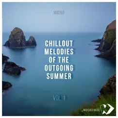 Blindside (feat. Joni Venchy) [Solarflow Chillout Remix] Song Lyrics