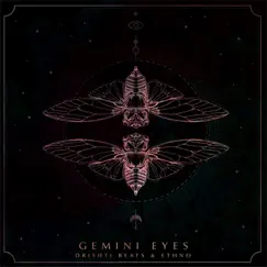 Gemini Eyes Song Lyrics