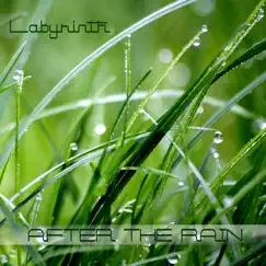 After the Rain - Single by Labyrinth album reviews, ratings, credits