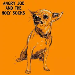 While It Lasted - Single by Angry Joe and the Holy Socks album reviews, ratings, credits