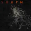 Youth - EP album lyrics, reviews, download