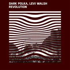 Revolution - Single by Dark PolKa & Levi Walsh album reviews, ratings, credits
