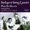 Beethoven: String Quartets Nos. 2, 3 & 10 album lyrics, reviews, download