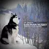 Siberian Husky (Rxbertxxxx Piano Rendition) - Single album lyrics, reviews, download