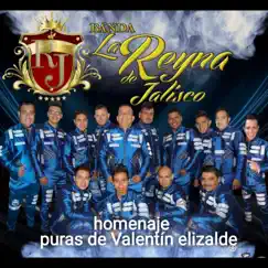 Homenaje a Valentín Elizalde by Carlos Ussiel & La Bandona Reyna de Jalisco album reviews, ratings, credits