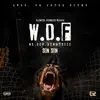 We Doh Fantasize (W.D.F) (feat. Sin Sin) - Single album lyrics, reviews, download