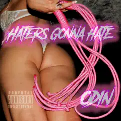 Haters Gonna Hate - Single by Ødin album reviews, ratings, credits