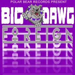 Foreign - Single by Big Dawg album reviews, ratings, credits