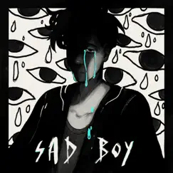 Sad Boy (feat. Ava Max & Kylie Cantrall) - Single by R3HAB & Jonas Blue album reviews, ratings, credits