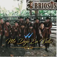 Me Dejó en Visto - Single by Banda Briosos album reviews, ratings, credits