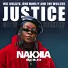 Justice (Get Up, Stand Up) - Single album lyrics, reviews, download