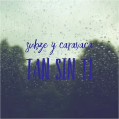 Tan Sin Tí Song Lyrics