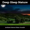 Deep Sleep Nature album lyrics, reviews, download