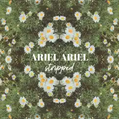 Ariel Ariel (Stripped) - Single by The Griswolds album reviews, ratings, credits