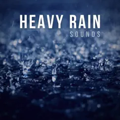 Heavy Rain Sounds by Background Noise from Traxlab album reviews, ratings, credits