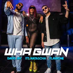 Wha Gwan - Single by David Jay, Its Natascha & FlavaOne album reviews, ratings, credits