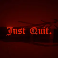 Just Quit - Single by LUNATICFLUKER album reviews, ratings, credits