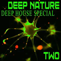Deephouse Motel, Vol. 2 (Fluttuant Mix) Song Lyrics