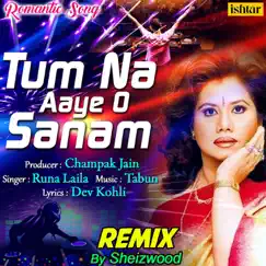 Tum Na Aaye O Sanam (Remix) - Single by Runa Laila album reviews, ratings, credits